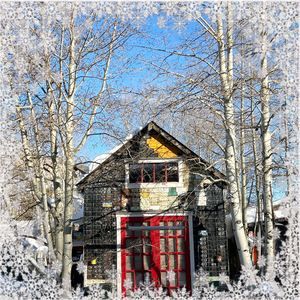 Meet your Posher, Tanya